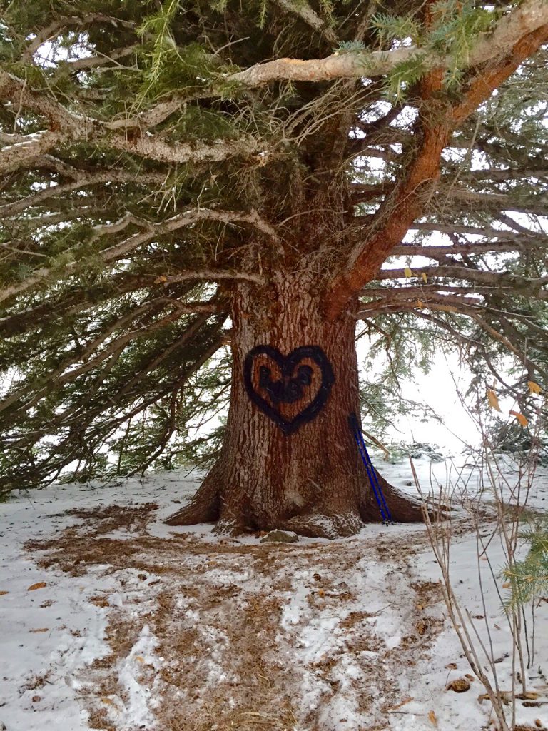  Snowshoeing-trip-steamboat-springs-hot-springs-dirtbagdreams.com