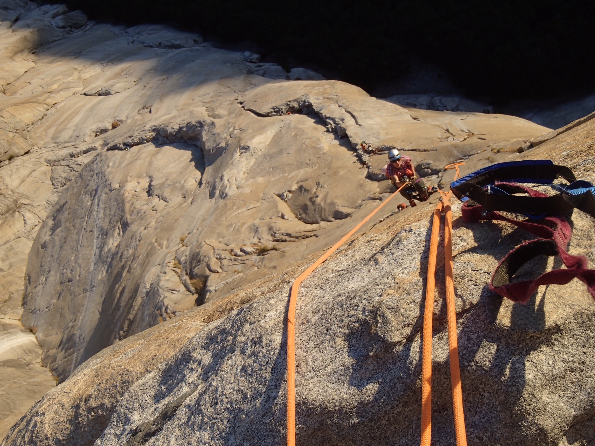 Petzl Dual Evolv Adjust Blue Slinges en vallijnen