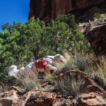 mountain smith-halite-trekking-poles-review-dirtbagdreams.com