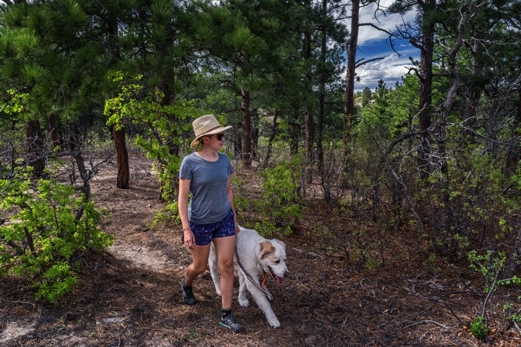 icebreaker-merino-woll-summer-womens-review-dirtbagdreams.com