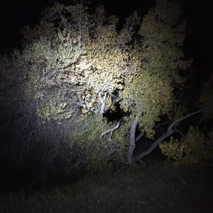 Petzl-Nao+-headlamp-review-dirtbagdreams.com