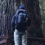 Gregory-tetrad-60-review-dirtbagdreams.com