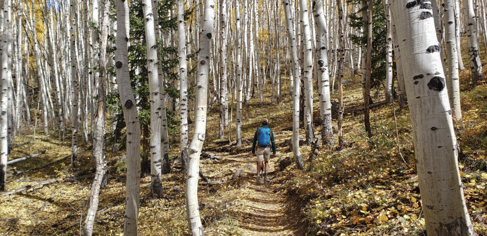 darn-tough-hiking-review-dirtbagdreams.com