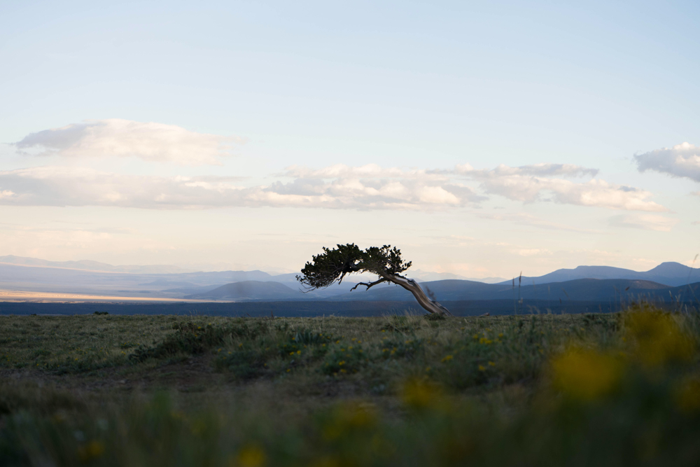 ode-to-mother-earth-dirtbagdreams.com