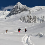 Weston-Backcountry-Team-Tours-Rogers-Pass-Photo-Dani-Reyes-Acosta.jpg