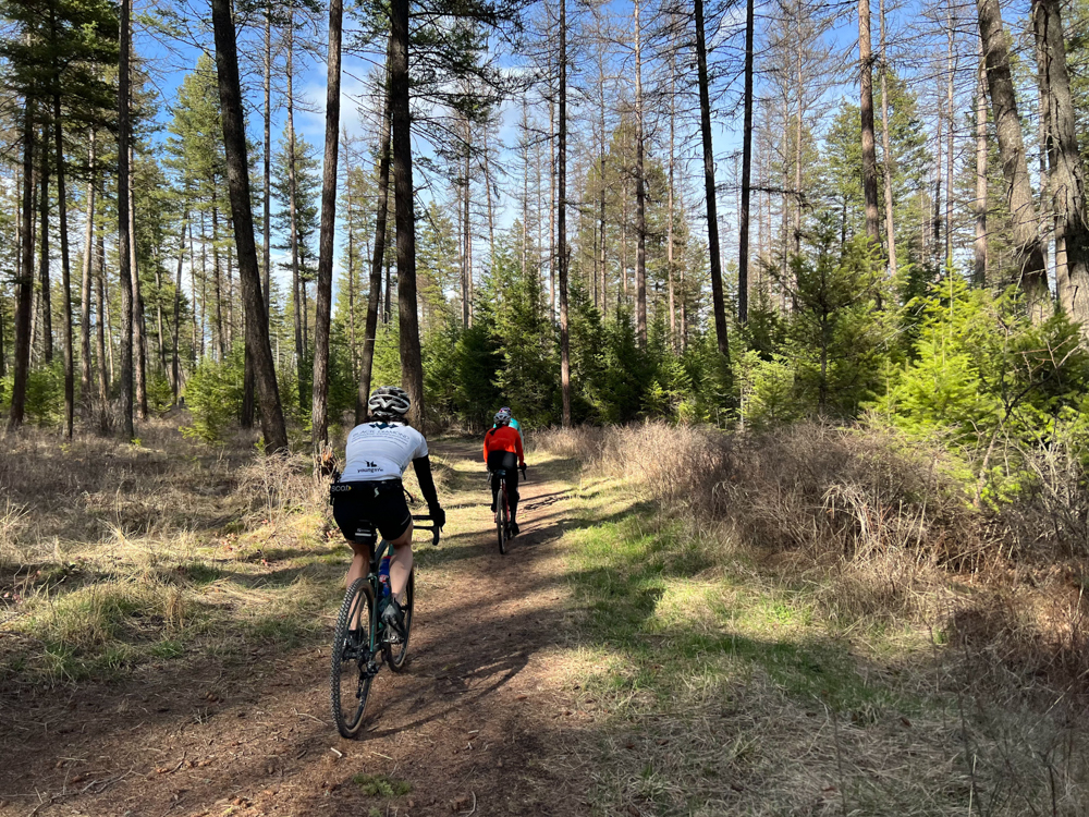 so-you-want-to-start-gravel-riding-dirtbagdreams.com