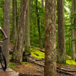 4-ways-to-celebrate-black-history-month