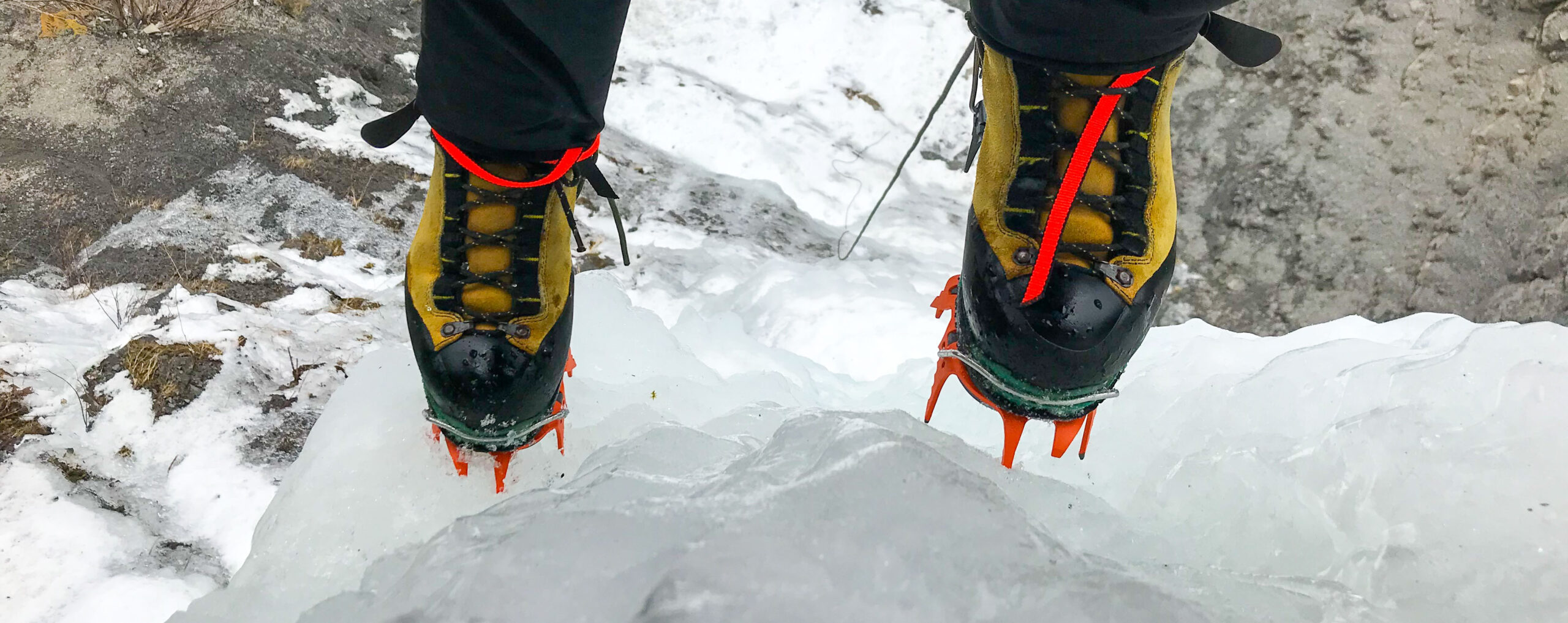 ProView Alpinist Tech Review