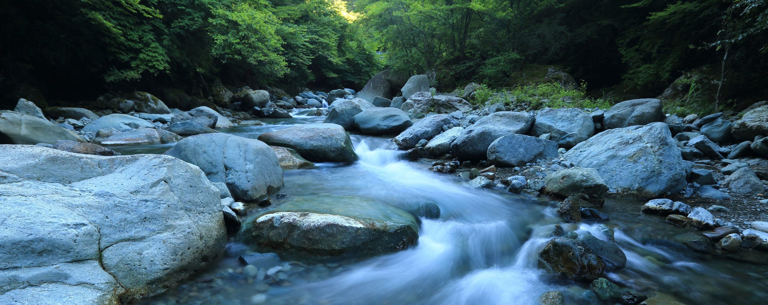 Outdoor Prolink New Brand Partners in 2021 The Link Gear