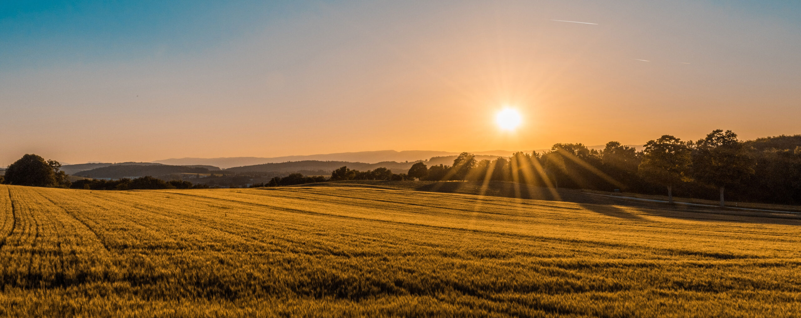 Outdoor Prolink's 2021 Nonprofit Partner Organizations The Link