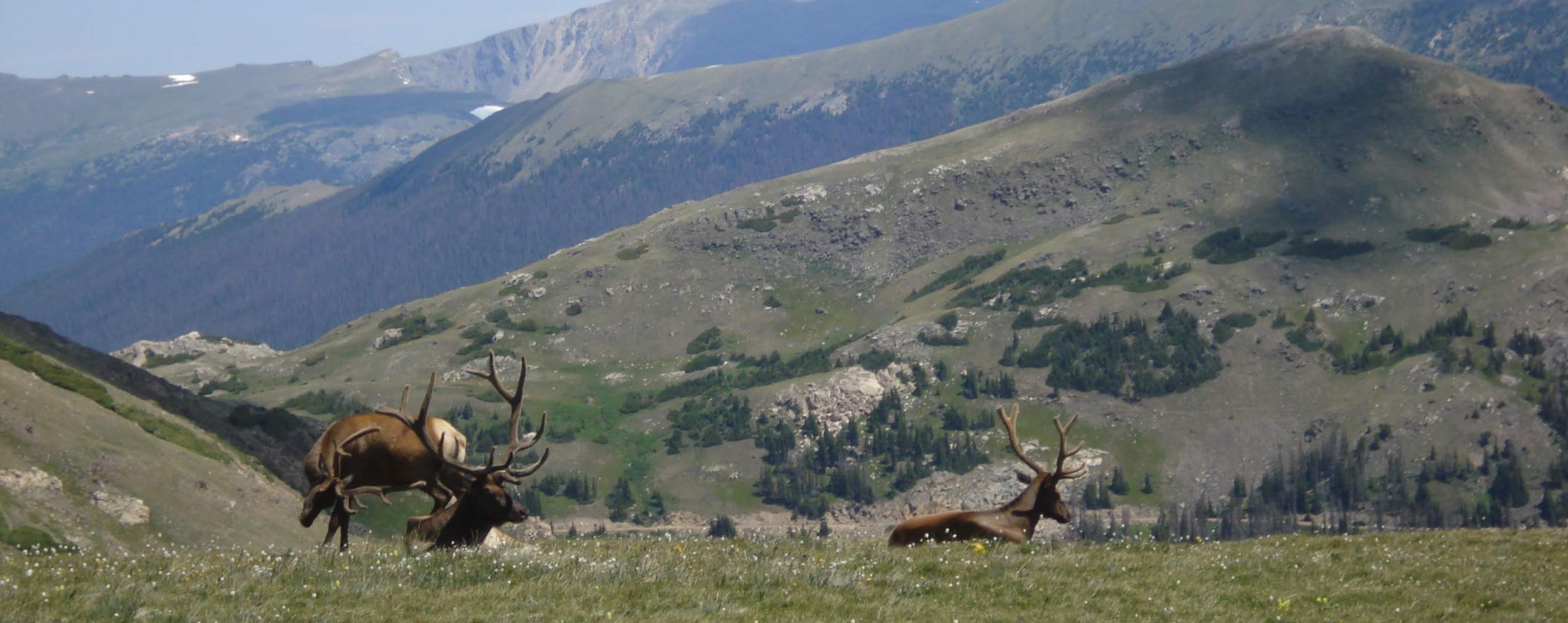 How to Make the Most of Your Harvest and the Ethics of Meat Eating