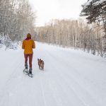so-you-want-to-start-snowshoeing-thelink