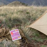 Good To-Go Mushroom Risotto The Link-3962