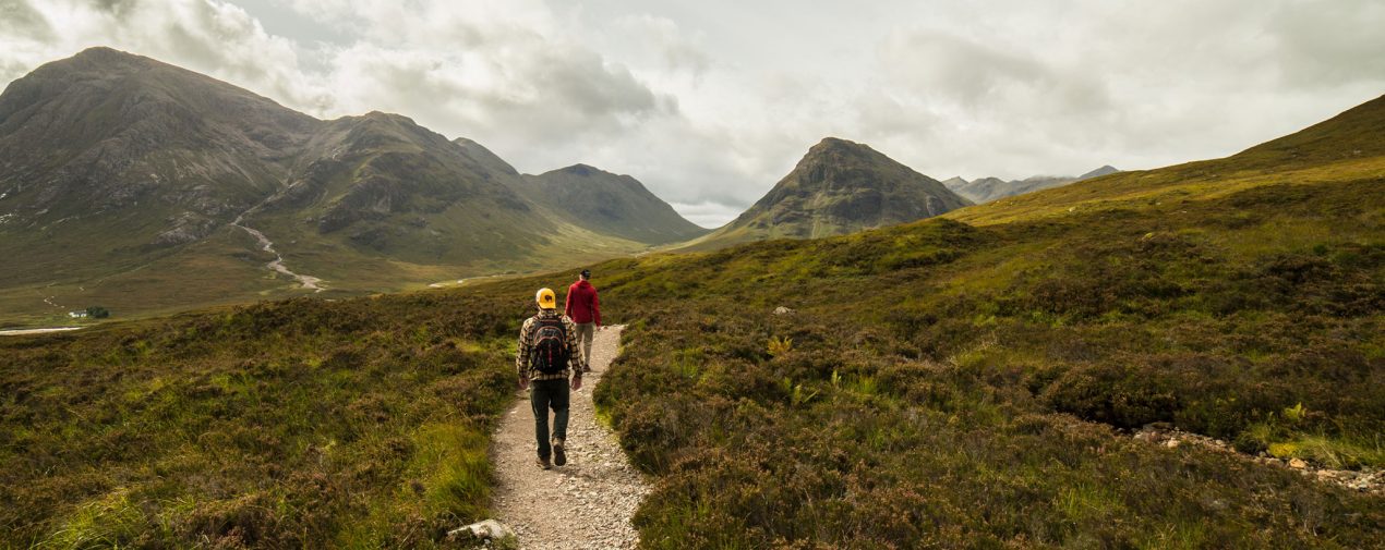 backcountry-birding