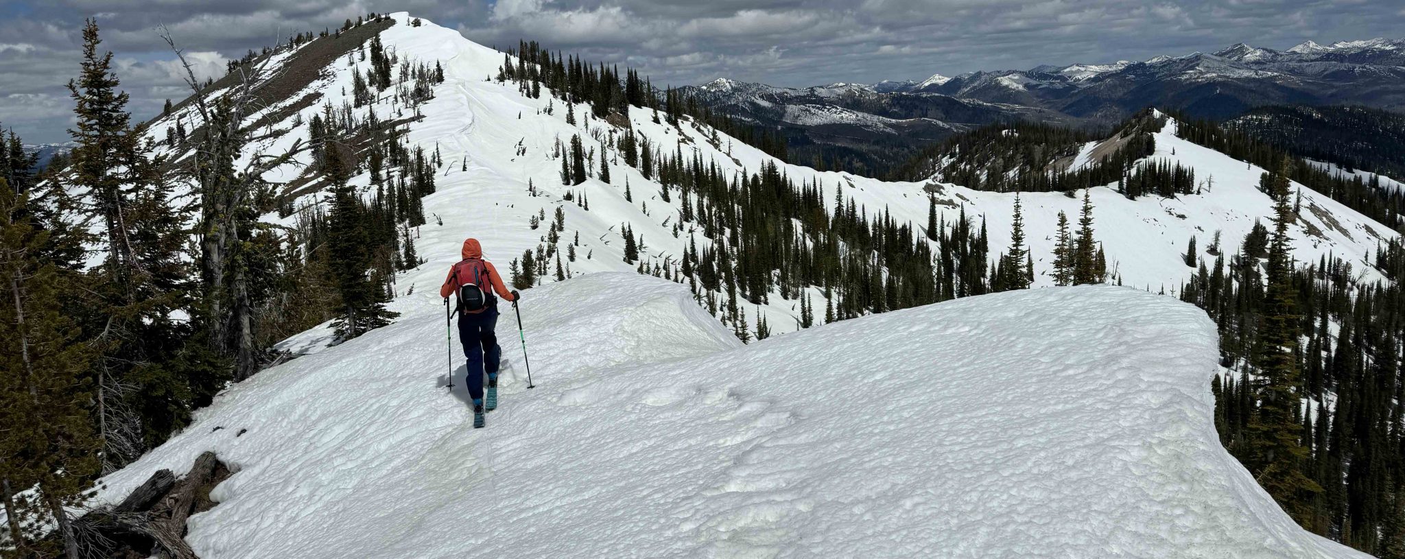 HAGAN CORE Carbon 92 All-Mountain Touring Skis