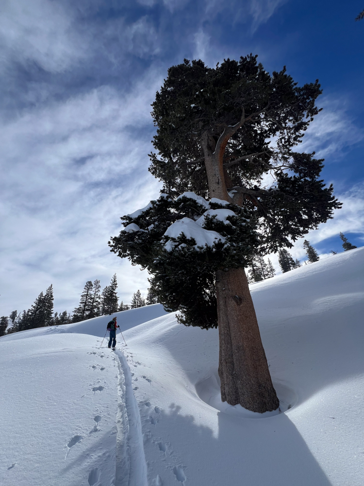 in-defense-of-splitboarding-thelink