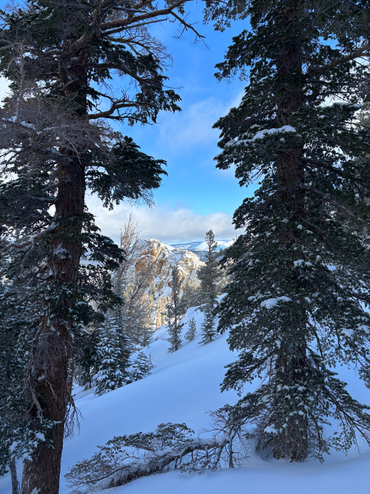 in-defense-of-splitboarding-thelink