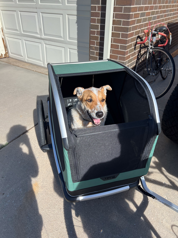 thule-bexey-dog-trailer-the-link