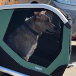 thule-bexey-dog-trailer-the-link