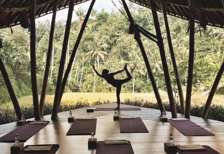 yoga-retreat-the-link