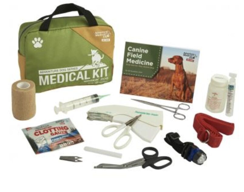 backpacking first aid kit the lnk