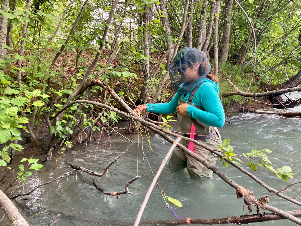 fishing-in-cold-weather-the-link