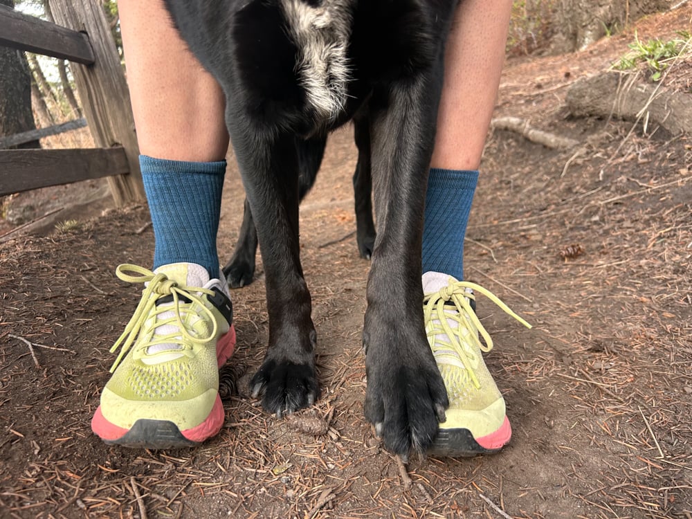 merrell-antora-the-link