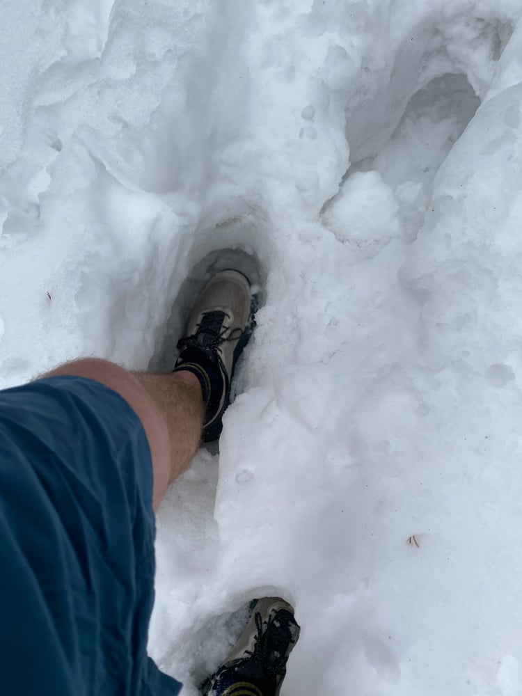 merrell-nova-4-the-link