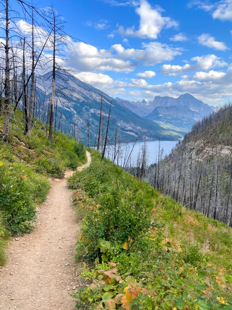 hiking-with-kids-glacier-national-park-the-link
