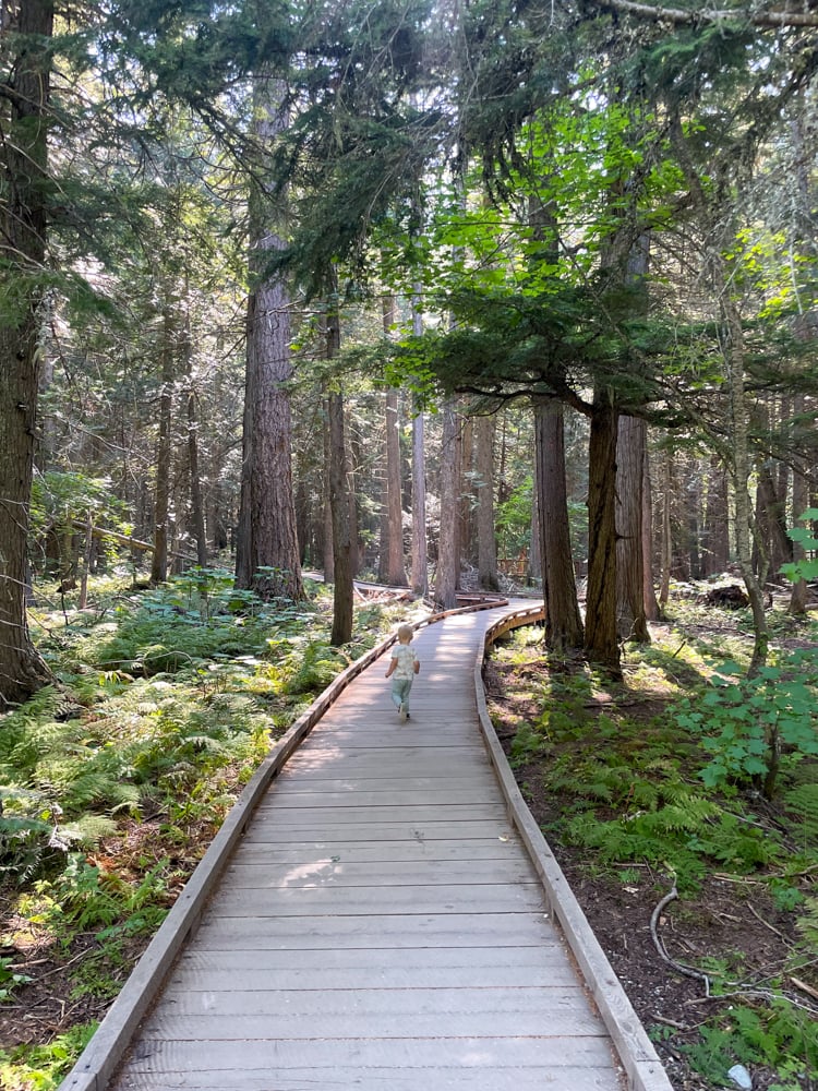 hiking-with-kids-glacier-national-park-the-link