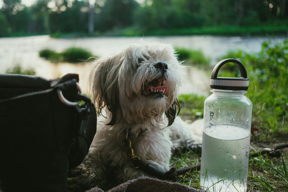 backcountry-water-hacks-the-link