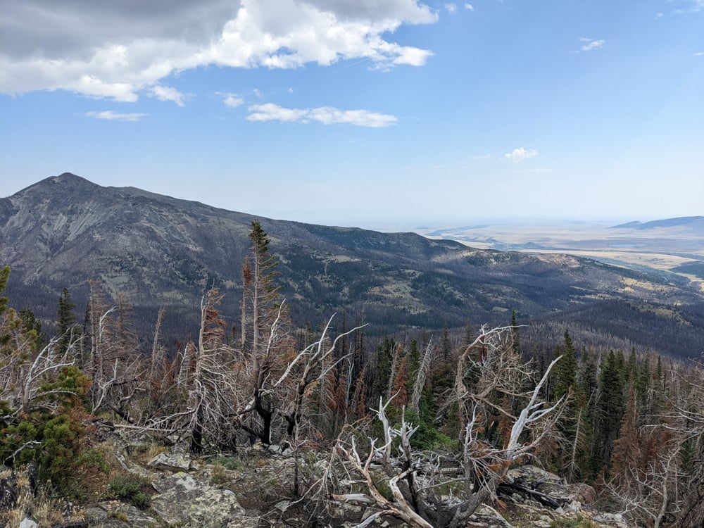 summer-planning-for-hunting-the-link