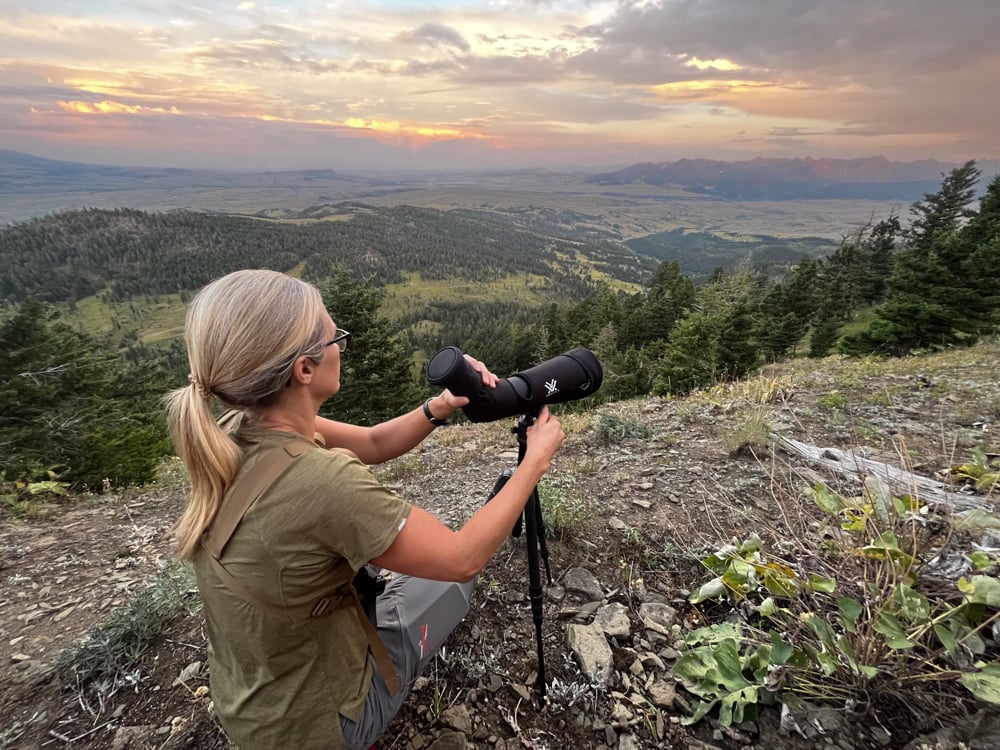 summer-planning-for-hunting-the-link