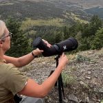 summer-planning-for-hunting-the-link
