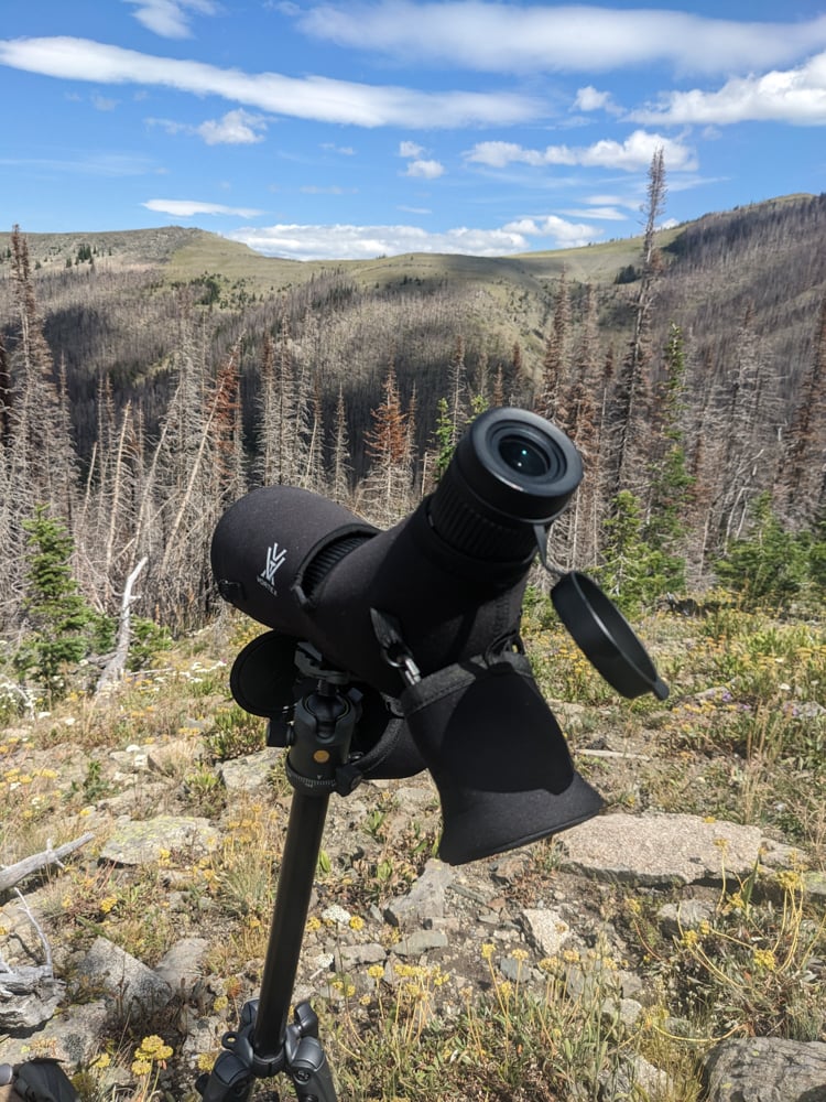 summer-planning-for-hunting-the-link