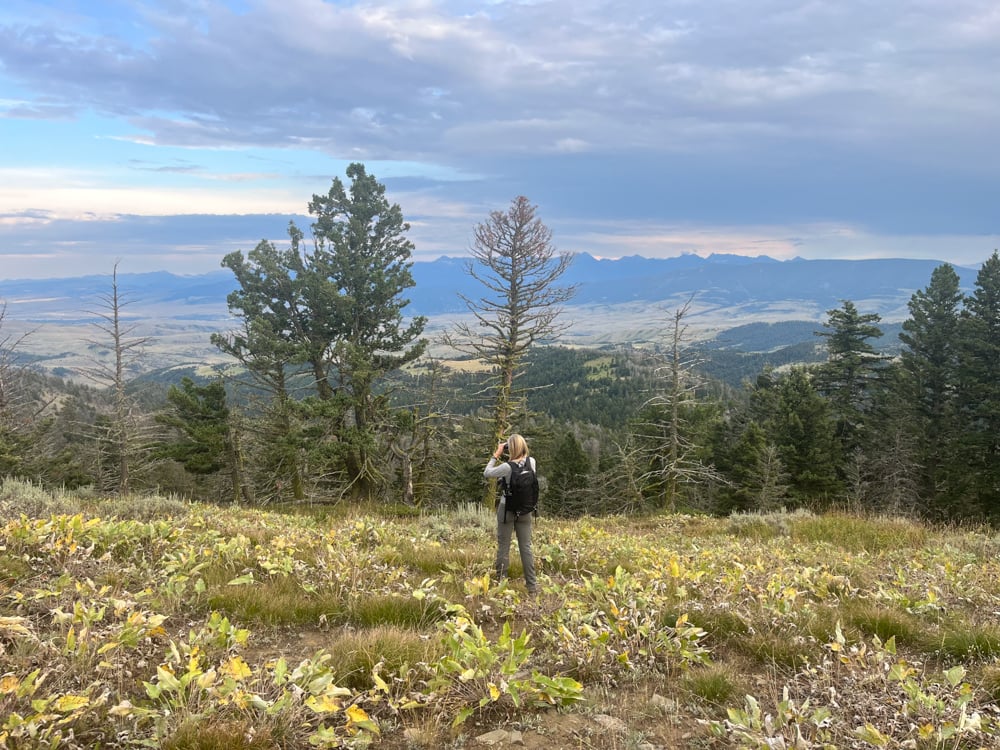 summer-planning-for-hunting-the-link