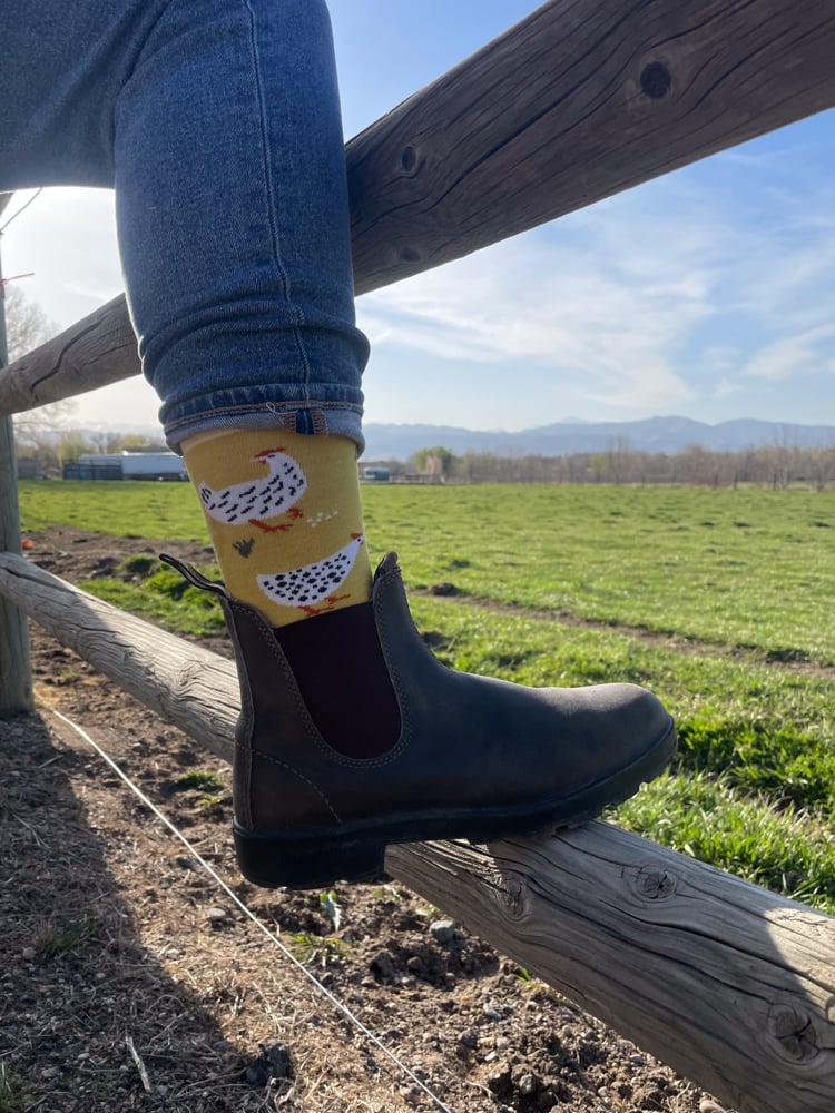 darn-tough-lifestyle-socks-the-link