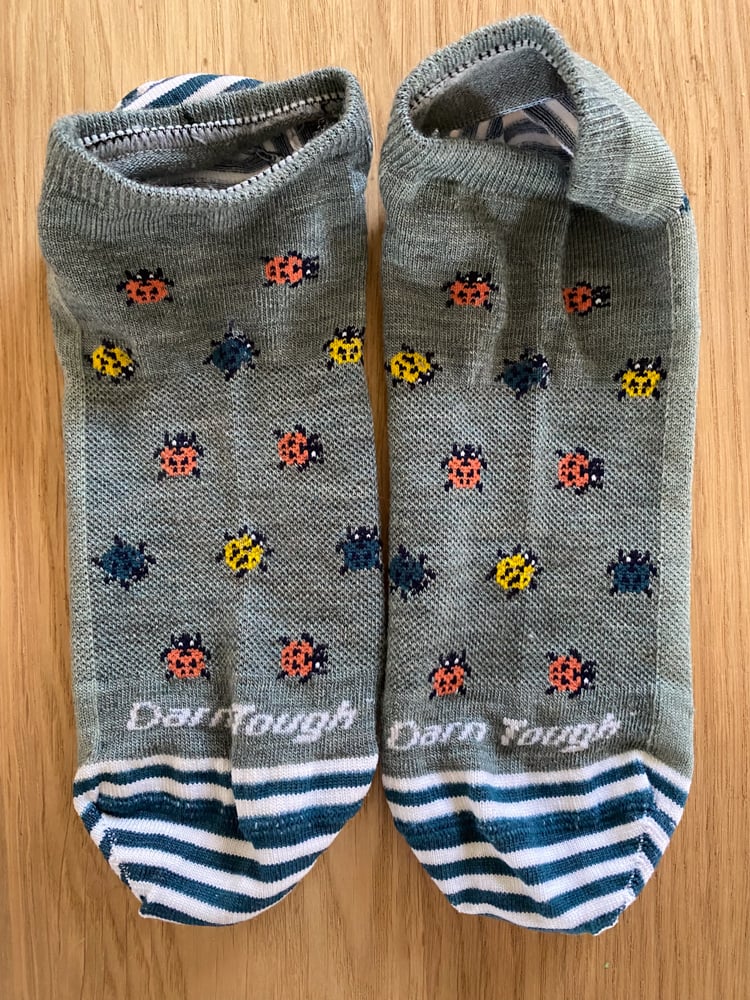 darn-tough-lifestyle-socks-the-link