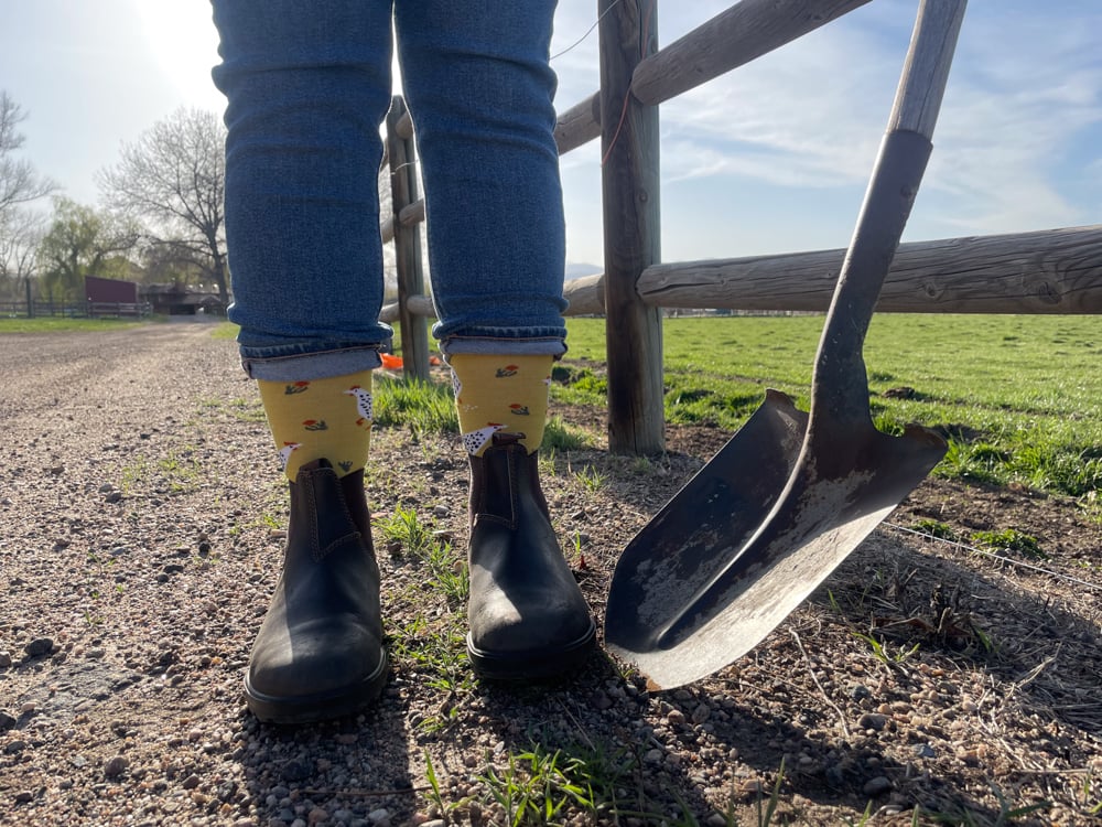 darn-tough-lifestyle-socks-the-link