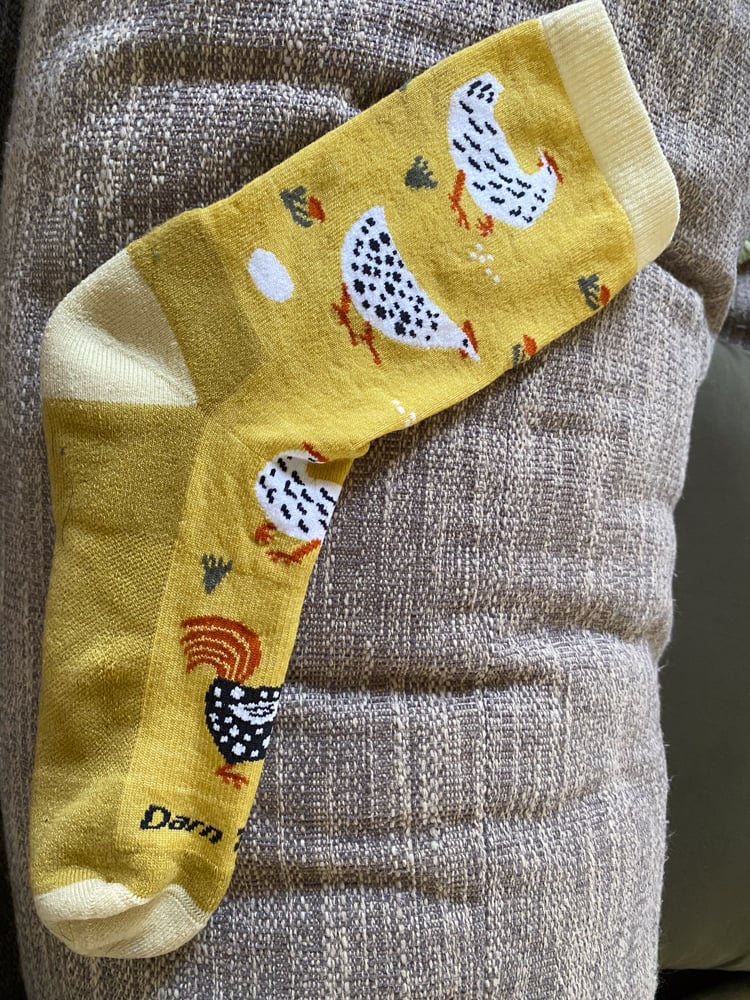 darn-tough-lifestyle-socks-the-link