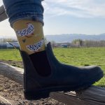 darn-tough-lifestyle-socks-the-link
