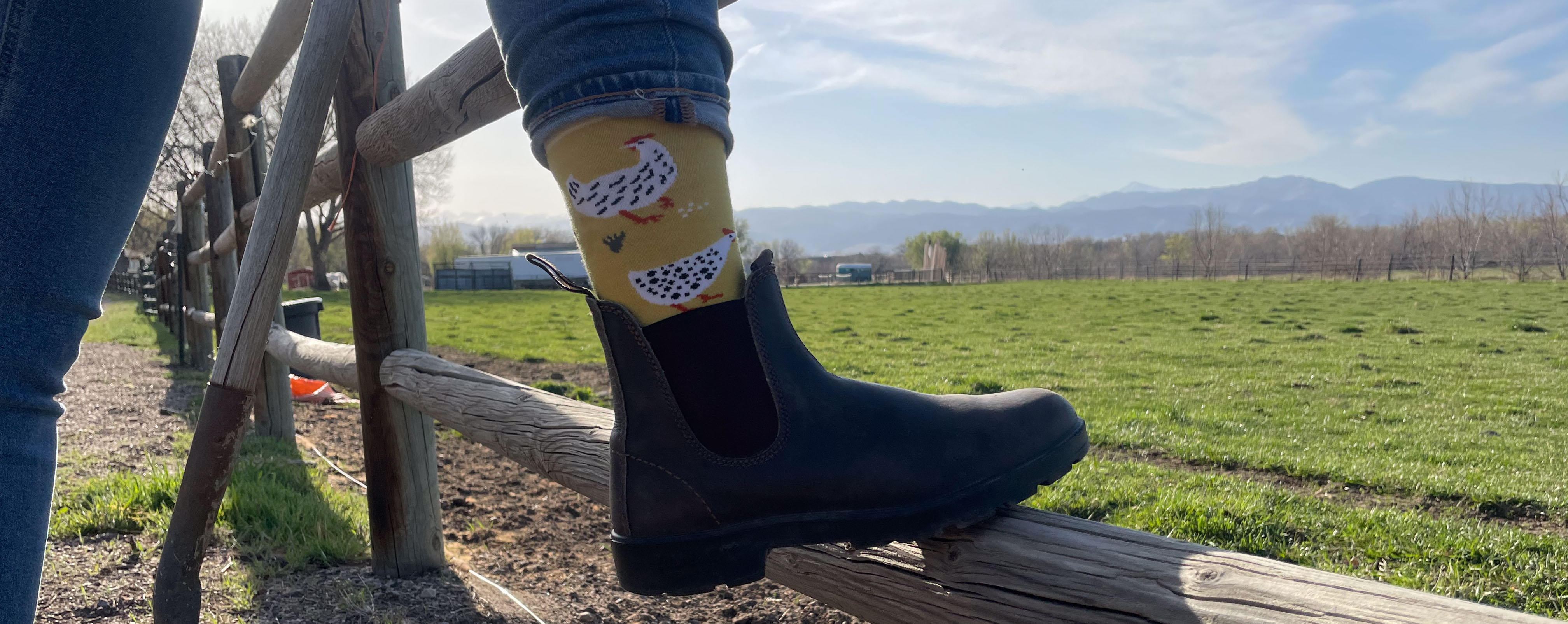darn-tough-lifestyle-socks-the-link