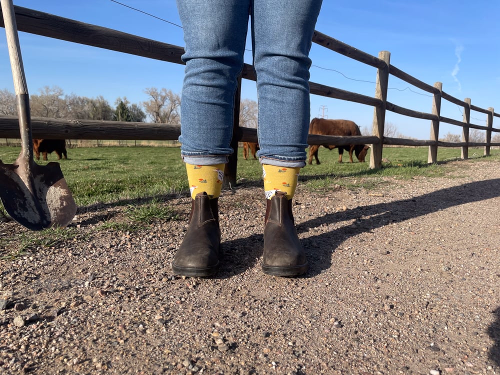 danr-tough-lifestyle-socks-the-link