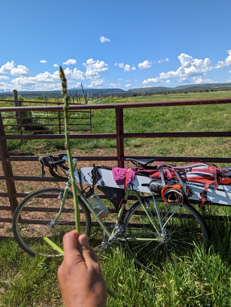 how-to-plan-a-multisport-day-the-link