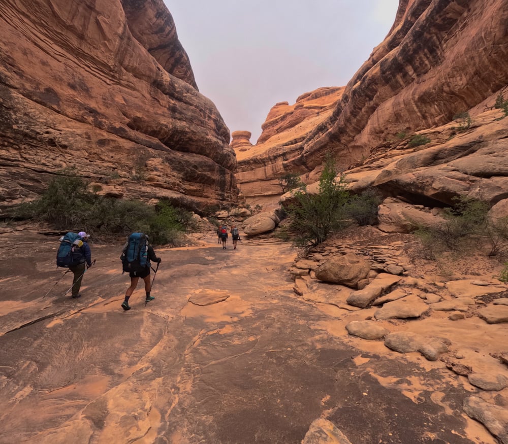 so-you-want-to-be-a-nols-instructor-the-link