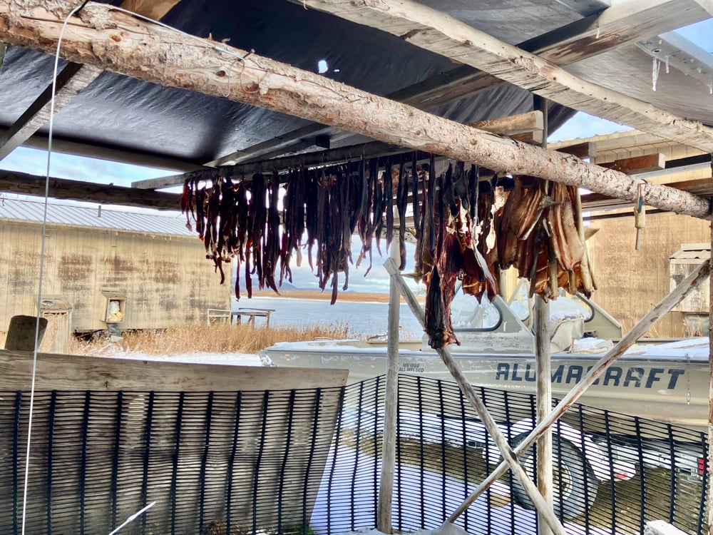 preserving your fish-the-link