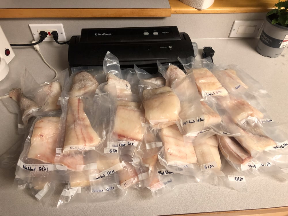 preserving your fish-the-link