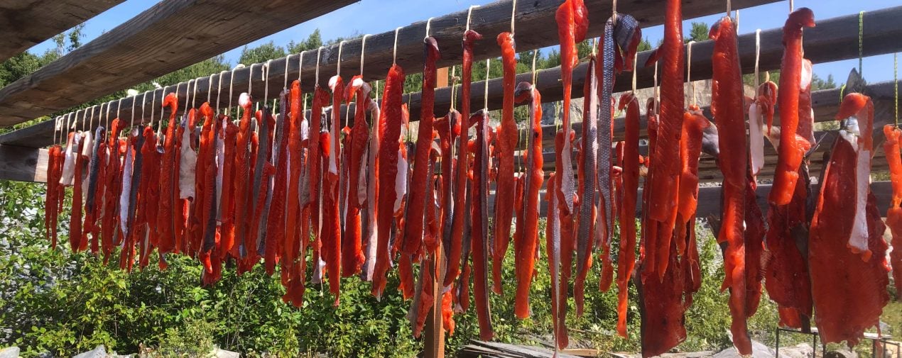 preserving your fish-the-link