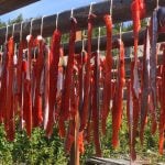 preserving your fish-the-link