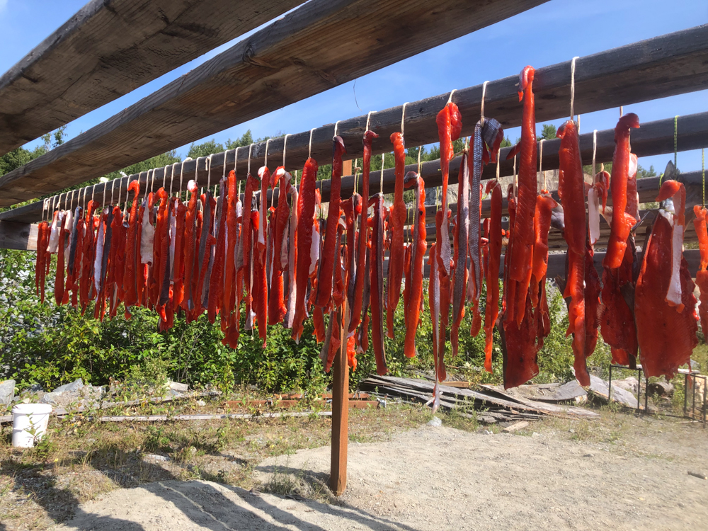 preserving your fish-the-link